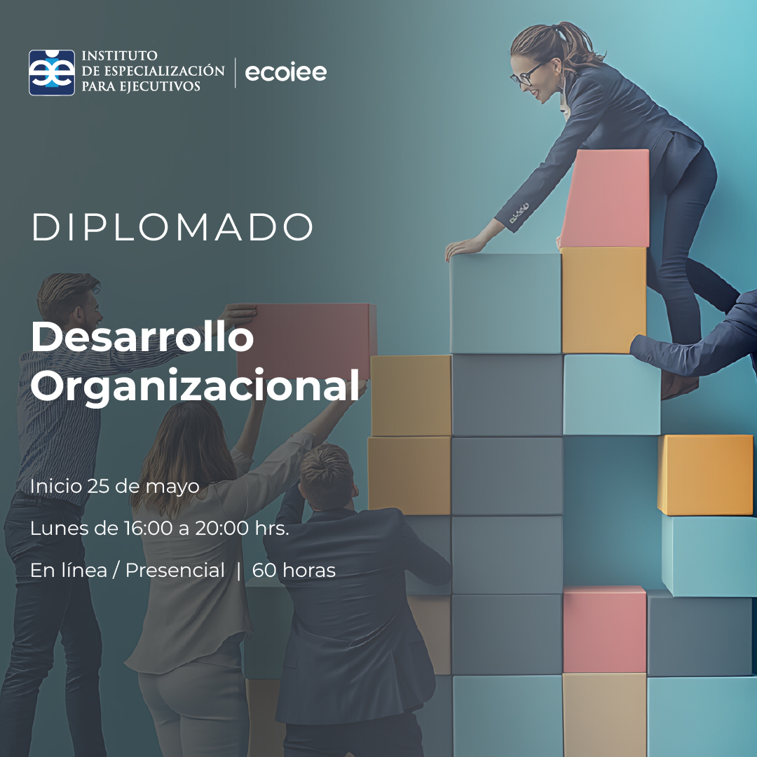 Cursos