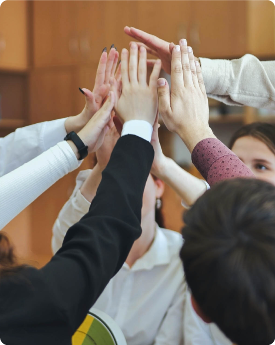 Principios institucionales del IEE