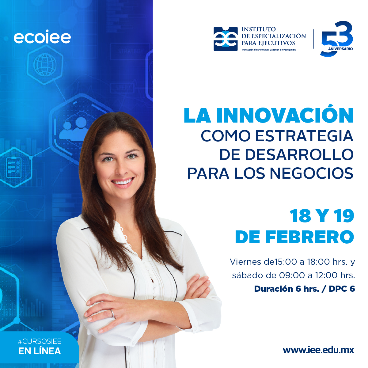 Curso en Línea la Innovación como Estrategia de Desarrollo para los Negocios