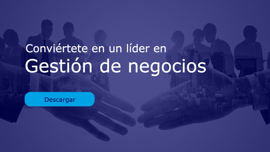 Maestría en Gestión de Negocios