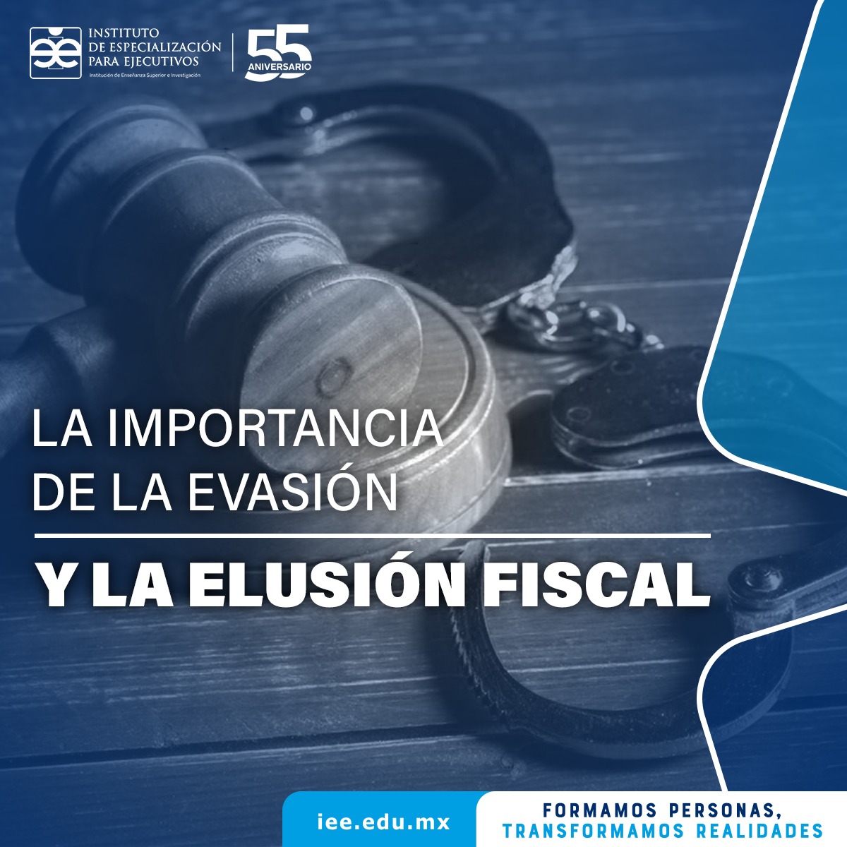 La importancia de la Evasión y la Elusión Fiscal