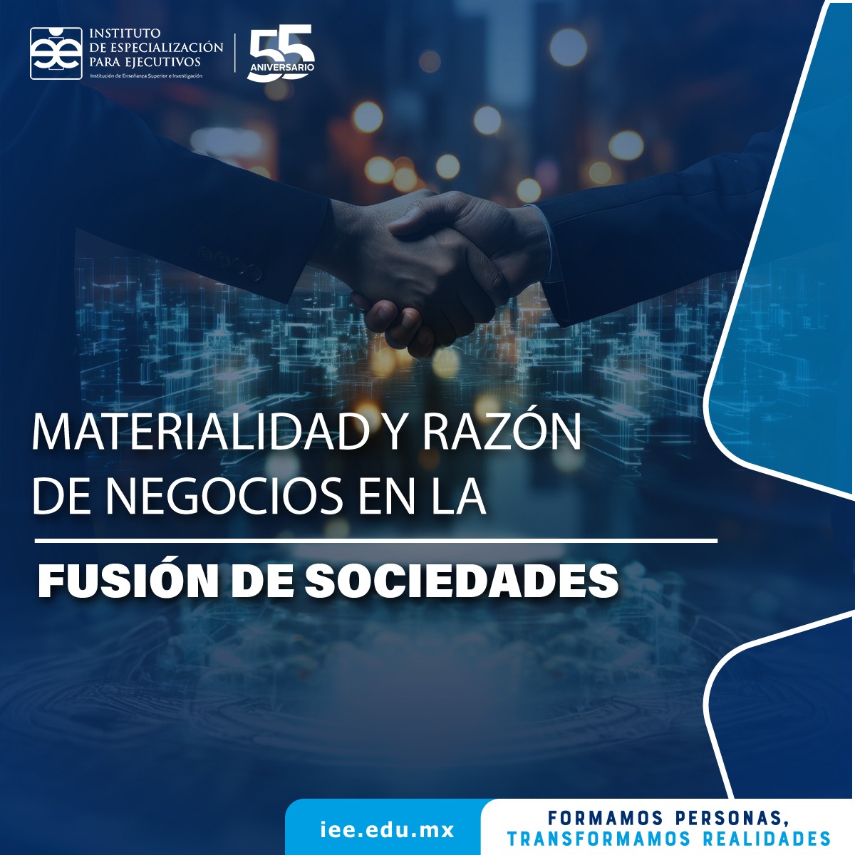 Materialidad y razón de negocios en la fusión de sociedades