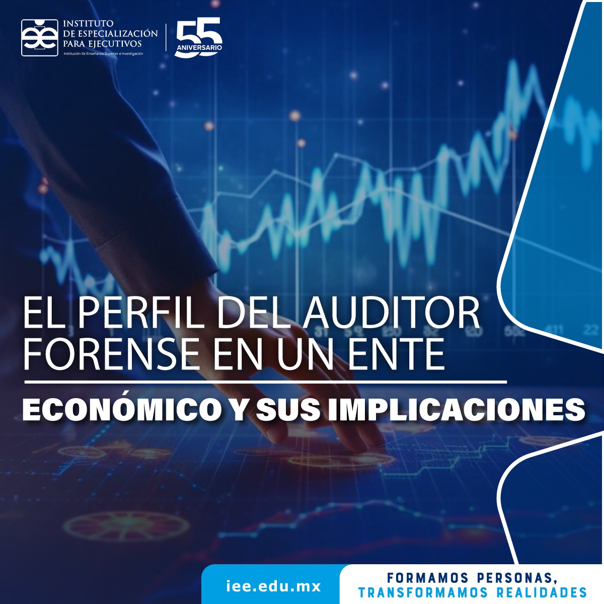 El perfil del auditor forense en un ente económico y sus implicaciones