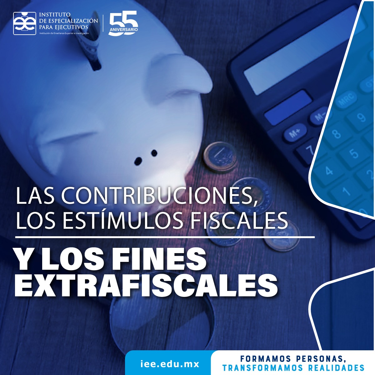 Las contribuciones, los estímulos fiscales y los fines extrafiscales