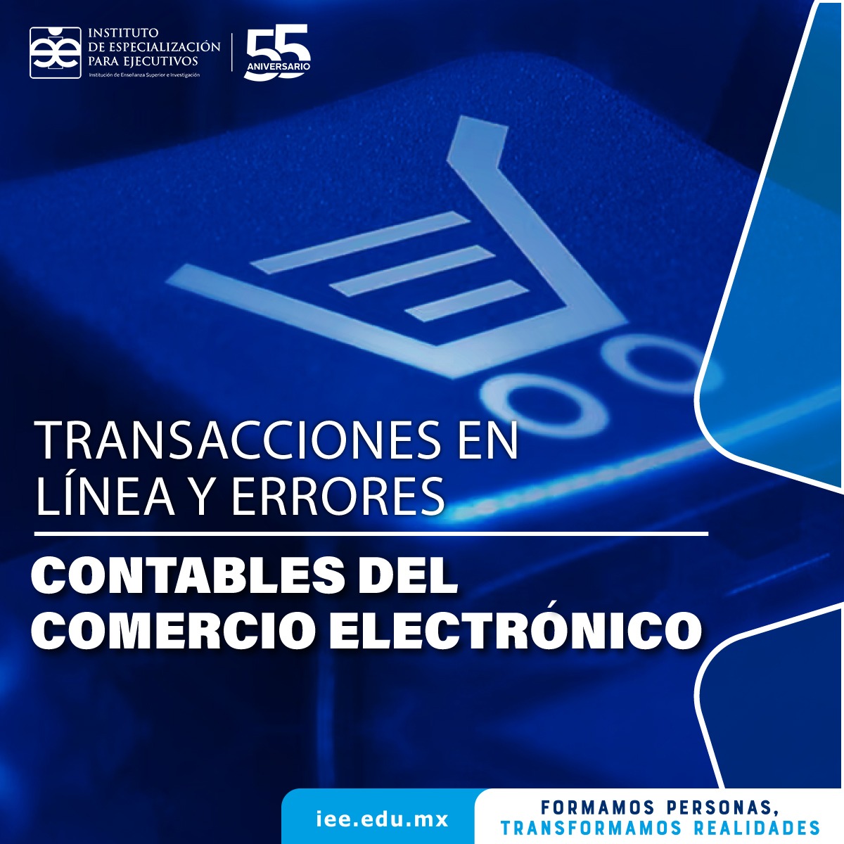 Transacciones en línea y errores contables del comercio electrónico